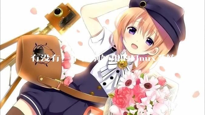 有没有一个特别好用的Linux系统？