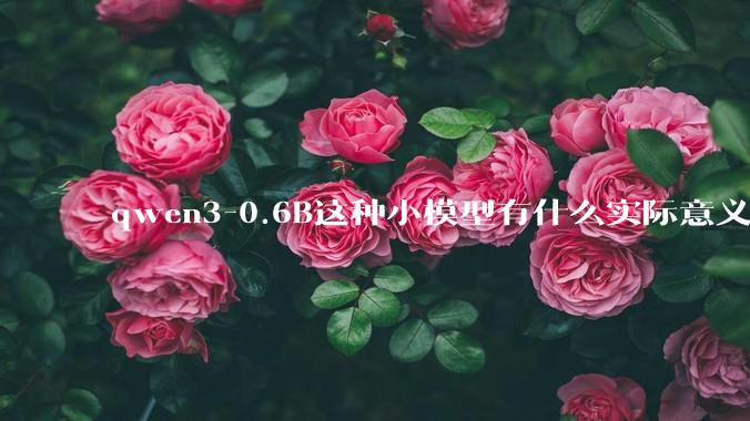 qwen3-0.6B这种小模型有什么实际意义和用途吗？