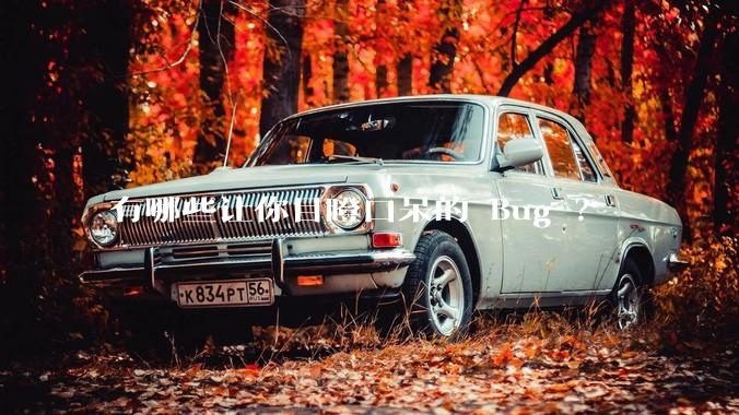 有哪些让你目瞪口呆的 Bug ？